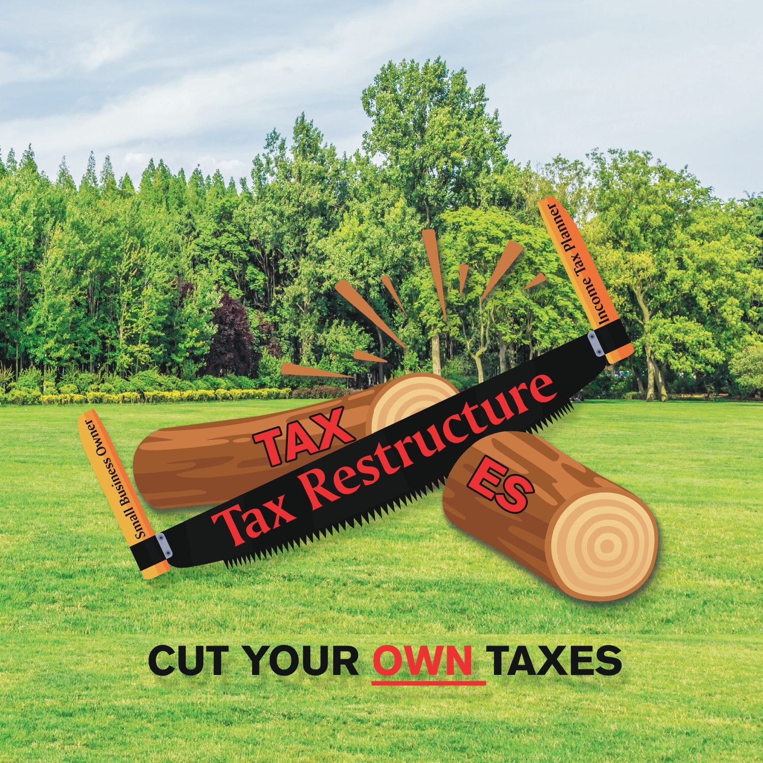   TaxRestructureLogo3Bad